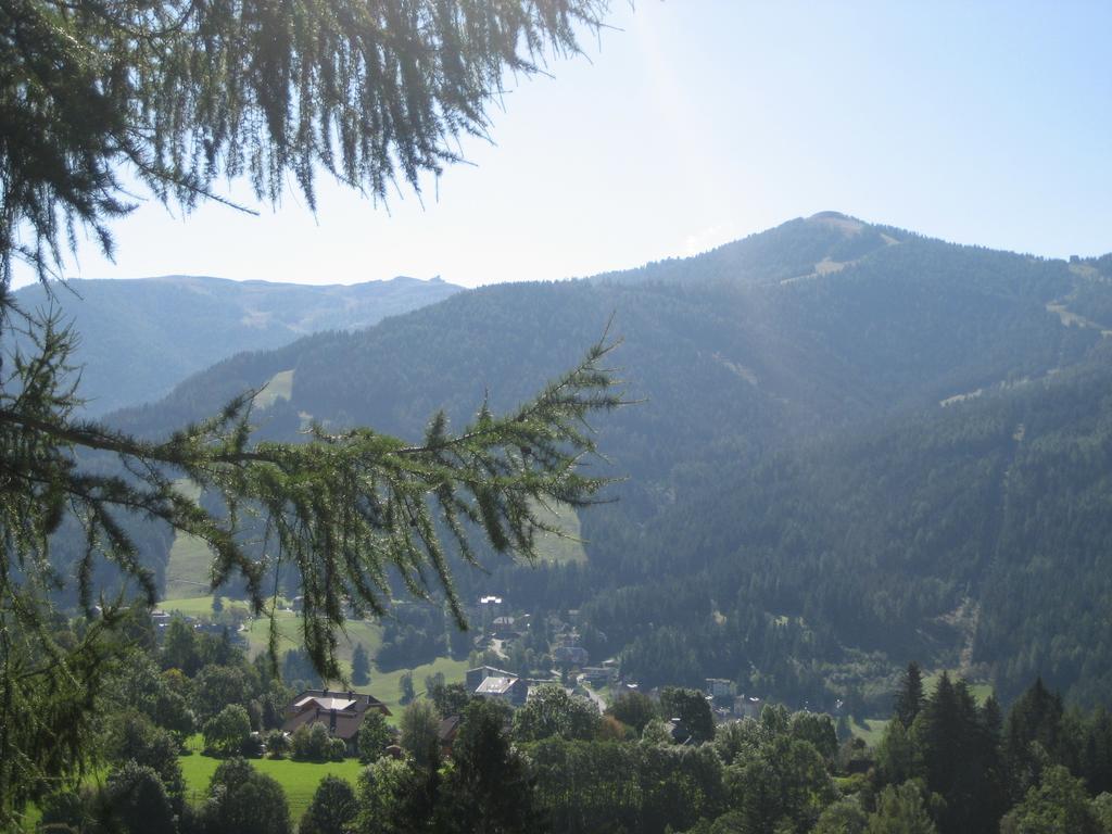 Ferienhaus Stiglitzweg Bad Kleinkirchheim Quarto foto
